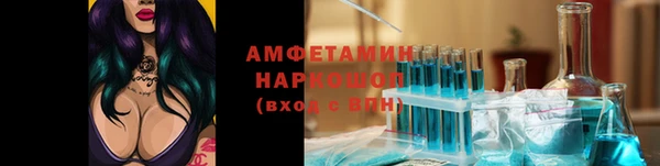 дмт Аркадак