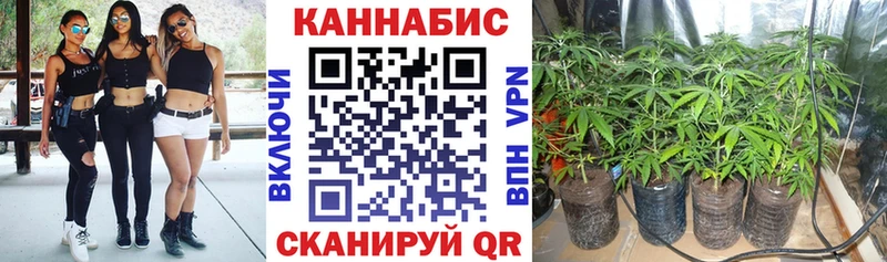 Канабис VHQ  Дыгулыбгей 